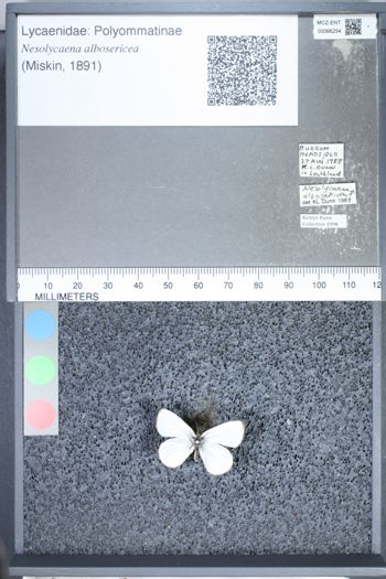 Media type: image;   Entomology 66254